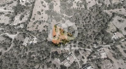 Terrain agricole à Santa Bárbara de Nexe de 1 920 m²