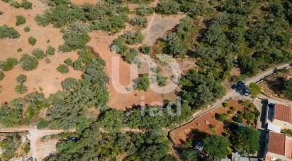 Terrain agricole à Santa Bárbara de Nexe de 1 920 m²