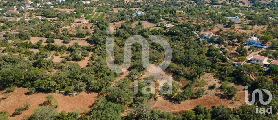Terreno rústico em Santa Bárbara de Nexe de 1 920 m²