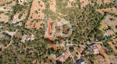 Terrain agricole à Santa Bárbara de Nexe de 1 920 m²