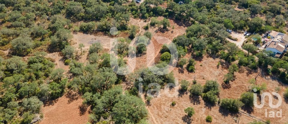 Terreno rústico em Santa Bárbara de Nexe de 1 920 m²