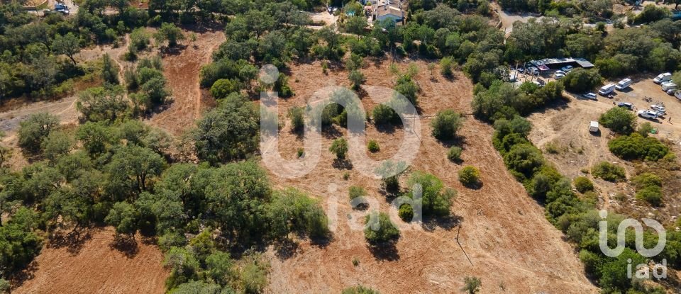 Terreno rústico em Santa Bárbara de Nexe de 1 920 m²