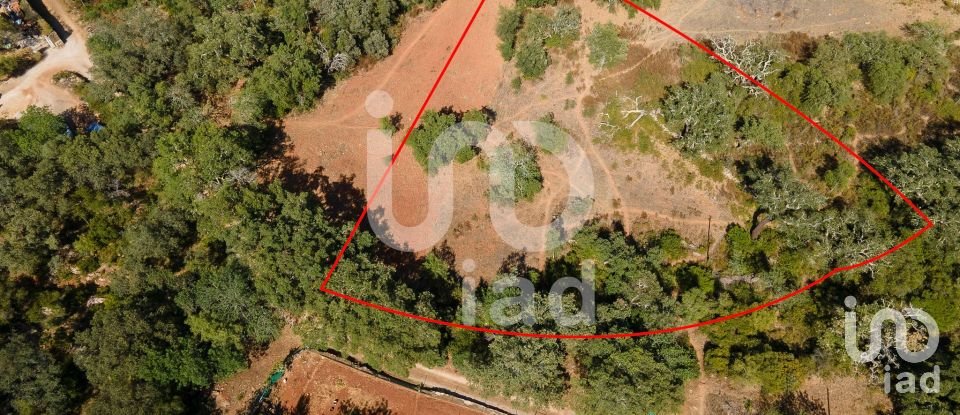 Terreno rústico em Santa Bárbara de Nexe de 1 920 m²