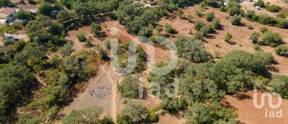 Terreno rústico em Santa Bárbara de Nexe de 1 920 m²