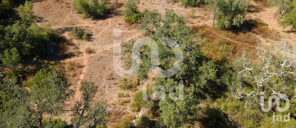 Terreno rústico em Santa Bárbara de Nexe de 1 920 m²