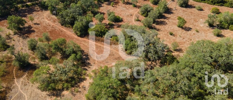 Terreno rústico em Santa Bárbara de Nexe de 1 920 m²