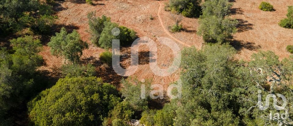 Terreno rústico em Santa Bárbara de Nexe de 1 920 m²