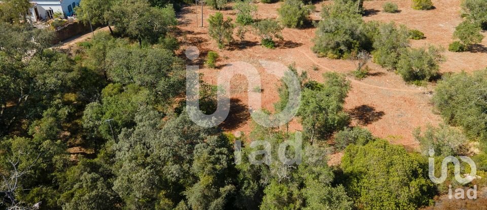 Terreno rústico em Santa Bárbara de Nexe de 1 920 m²
