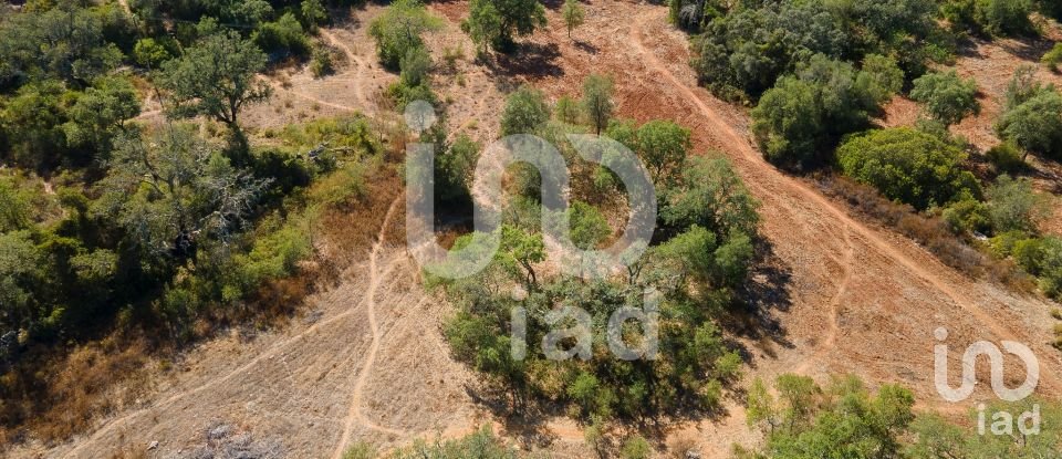 Terreno rústico em Santa Bárbara de Nexe de 1 920 m²