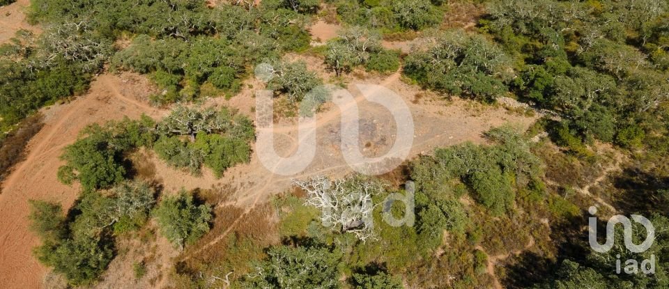 Terreno rústico em Santa Bárbara de Nexe de 1 920 m²