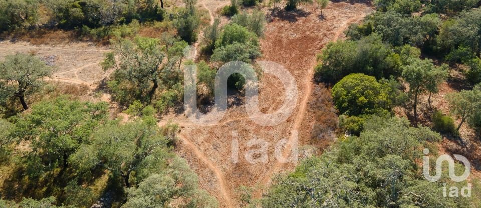 Terreno rústico em Santa Bárbara de Nexe de 1 920 m²