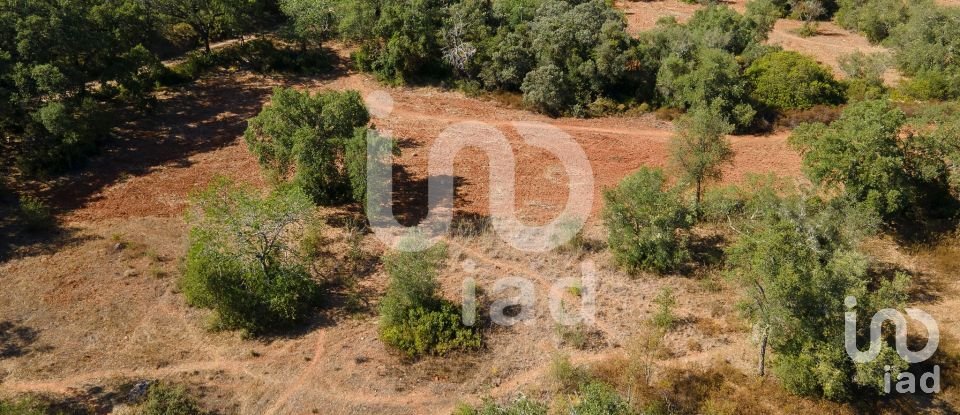 Terreno rústico em Santa Bárbara de Nexe de 1 920 m²