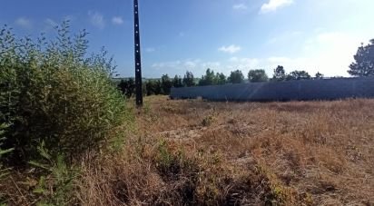 Terrain à bâtir à Coruche, Fajarda e Erra de 489 m²