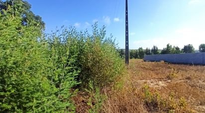 Terrain à bâtir à Coruche, Fajarda e Erra de 489 m²