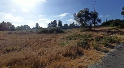 Terrain à bâtir à Coruche, Fajarda e Erra de 489 m²