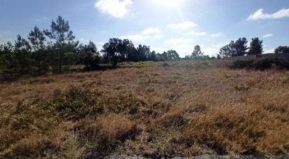 Terrain à bâtir à Coruche, Fajarda e Erra de 489 m²