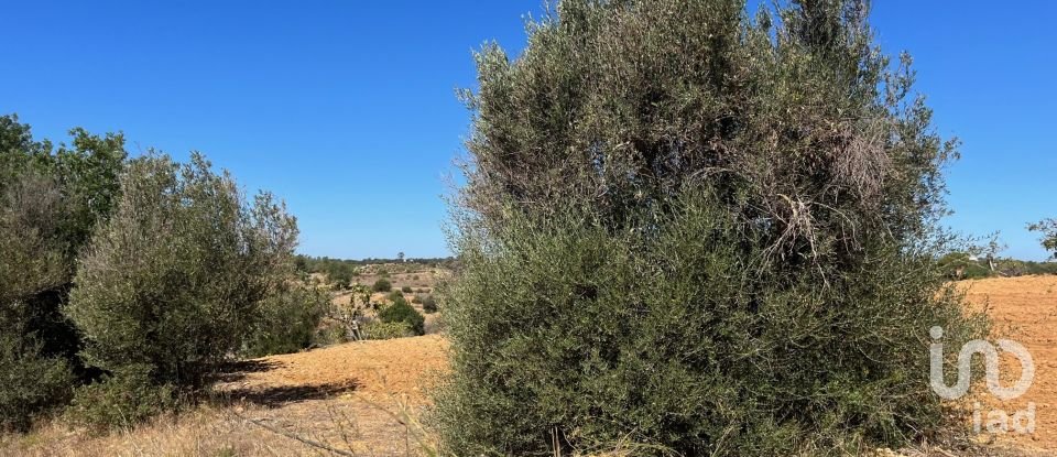 Terrain à bâtir à Guia de 47 010 m²