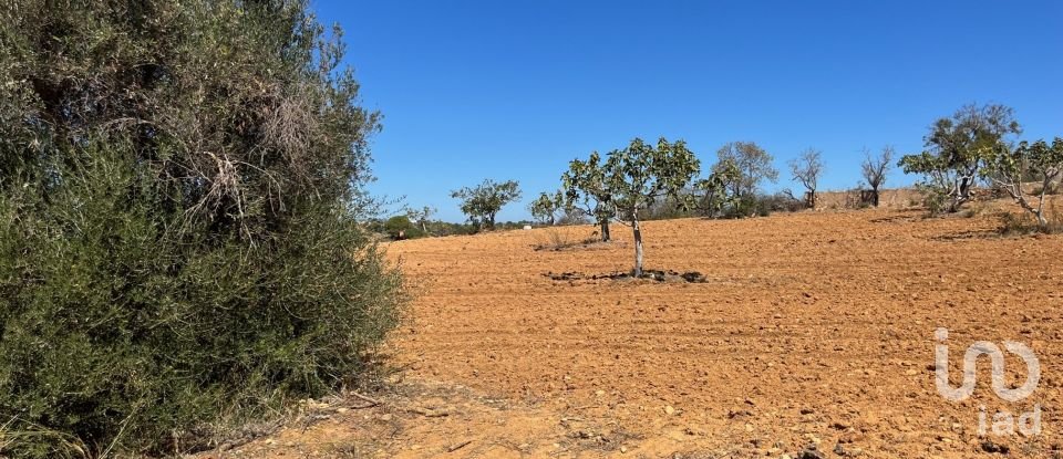 Terrain à bâtir à Guia de 47 010 m²