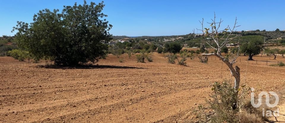 Building land in Guia of 47,010 m²