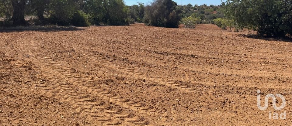 Terrain à bâtir à Guia de 47 010 m²