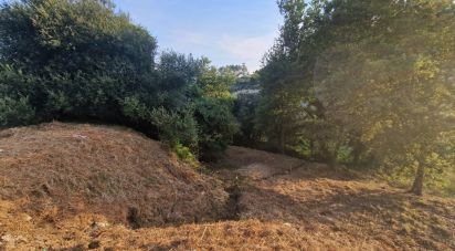 Terrain à Torre E Vila Mou de 480 m²