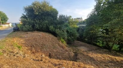 Terrain à Torre E Vila Mou de 480 m²