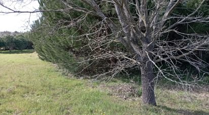 Terrain à Batalha de 10 712 m²