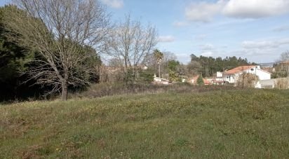 Terrain à Batalha de 10 712 m²