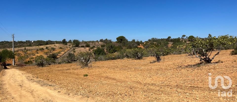 Terrain à bâtir à Guia de 47 010 m²