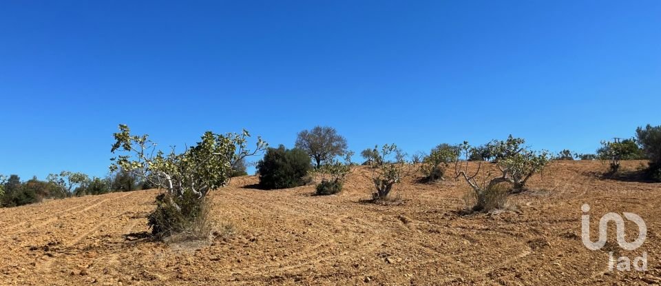 Terrain à bâtir à Guia de 47 010 m²