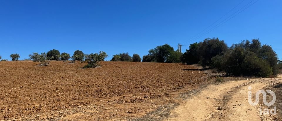 Terrain à bâtir à Guia de 47 010 m²