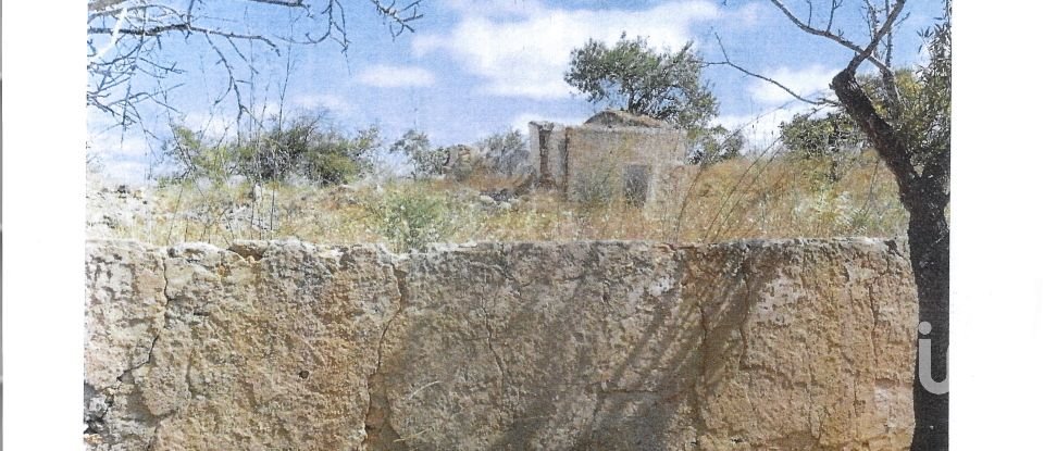 Terrain à bâtir à Guia de 47 010 m²