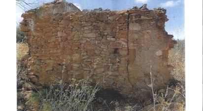 Terrain à bâtir à Guia de 47 010 m²