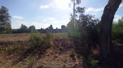 Terrain à bâtir à Coruche, Fajarda e Erra de 501 m²