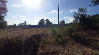 Terrain à bâtir à Coruche, Fajarda e Erra de 501 m²