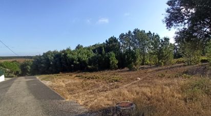 Terrain à bâtir à Coruche, Fajarda e Erra de 501 m²
