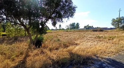 Terrain à bâtir à Coruche, Fajarda e Erra de 501 m²