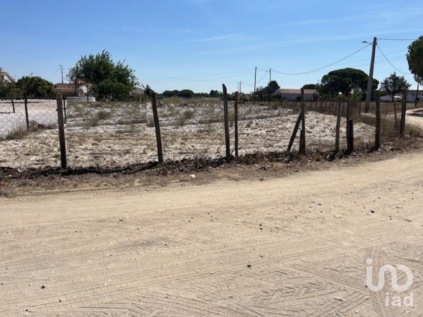 Terrain agricole à Grândola e Santa Margarida da Serra de 8 109 m²