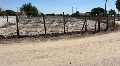 Terrain agricole à Grândola e Santa Margarida da Serra de 8 109 m²