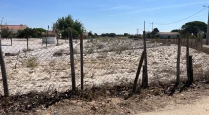 Terrain agricole à Grândola e Santa Margarida da Serra de 8 109 m²