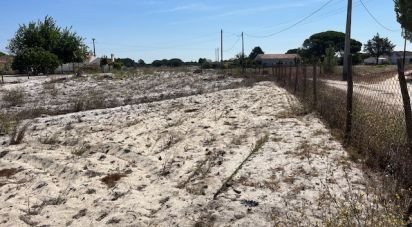 Terrain agricole à Grândola e Santa Margarida da Serra de 8 109 m²