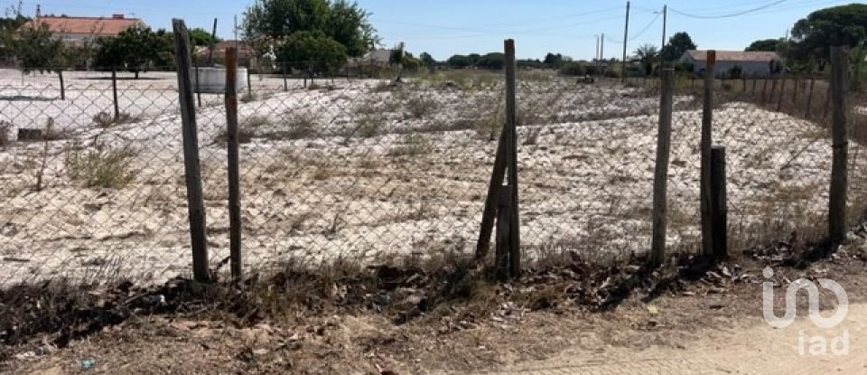 Terrain agricole à Grândola e Santa Margarida da Serra de 8 109 m²