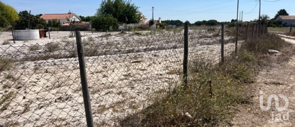 Terrain agricole à Grândola e Santa Margarida da Serra de 8 109 m²