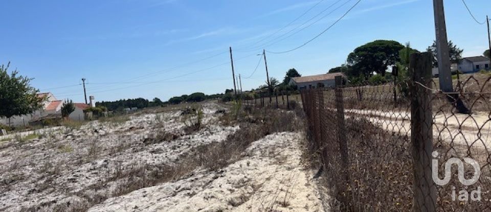 Terrain agricole à Grândola e Santa Margarida da Serra de 8 109 m²