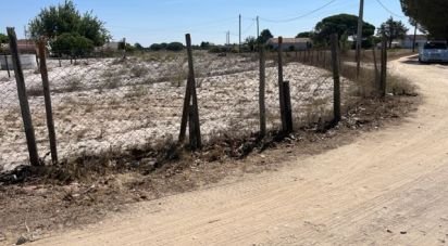 Terrain agricole à Grândola e Santa Margarida da Serra de 8 109 m²