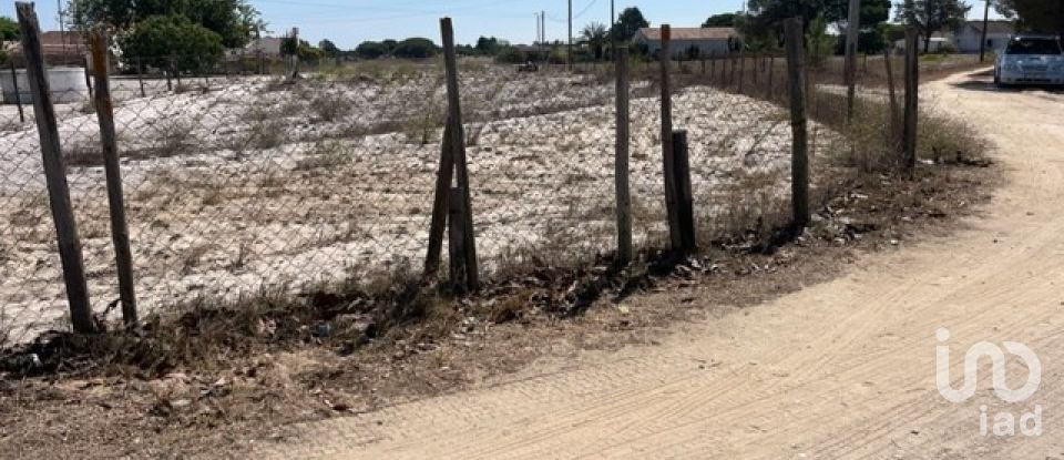Terrain agricole à Grândola e Santa Margarida da Serra de 8 109 m²