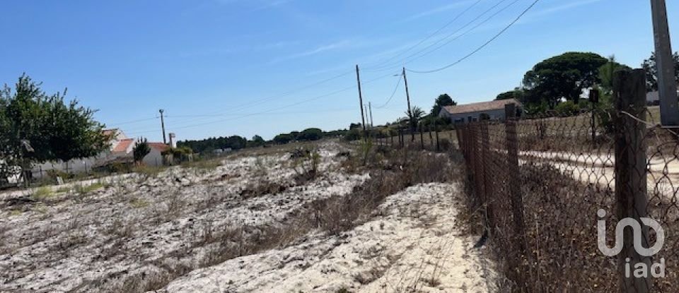 Terrain agricole à Grândola e Santa Margarida da Serra de 8 109 m²