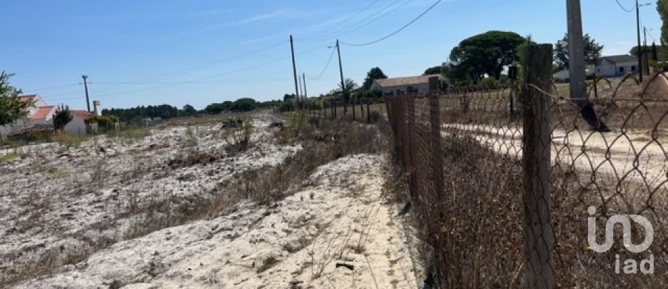 Terrain agricole à Grândola e Santa Margarida da Serra de 8 109 m²