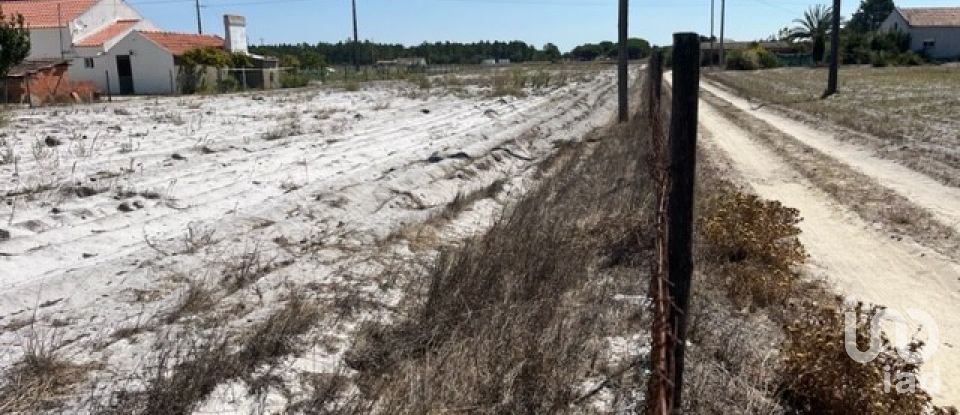 Terrain agricole à Grândola e Santa Margarida da Serra de 8 109 m²