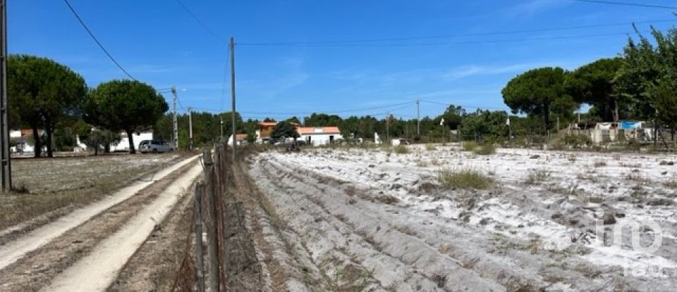 Agricultural land in Grândola e Santa Margarida da Serra of 8,109 m²